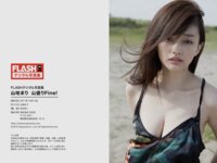 FLASHデジタル写真集 山地まり 山盛りFine