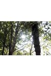 [Photobook] 謎の美女17『ひとひらの舞』ファースト写真集