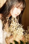 [Cosplay] Shika小鹿鹿 鹳鸟踟蹰