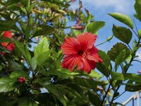 [Photobook] 白桃はな ヌード写真集 これからも[166P]