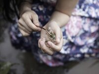 [Photobook] 壇蜜 デジタル写真集 蔵のなかの