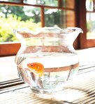 [Photobook] グラビア文学館 第三回 相楽伊織 蜜のあわれ