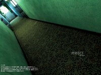 FLASHデジタル写真集 早瀬あや PERFECT[112P]