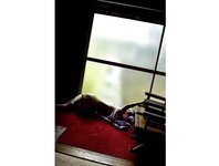 [Photobook] NUDE PHOTO BOOK 003 水野朝陽