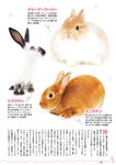 [Weekly Playboy] 2023 No.03-04 Accessory DVD Full Ver