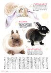 [Weekly Playboy] 2023 No.03-04 Accessory DVD Full Ver
