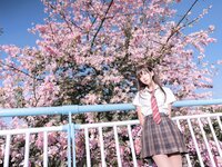 [Cosplay] myeo0 萌芽儿o0 - Kapok 异木棉花