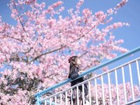 [Cosplay] myeo0 萌芽儿o0 - Kapok 异木棉花