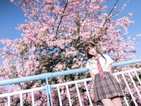 [Cosplay] myeo0 萌芽儿o0 - Kapok 异木棉花
