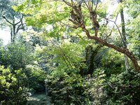 [Fantia] いくみ (193iKkyu3) – mitsu