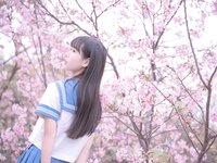 [Cosplay] myeo0 萌芽儿o0 - Sakura JK 樱花JK