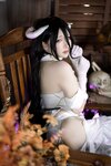 [Cosplay] 樱梨梨 雅儿贝德