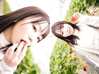 [Photobook] 七嶋舞 DX EDITION PRESTIGE DIGITAL BOOK SERIES