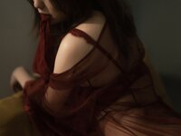P231676