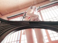 [Cosplay] Ringo Mitsuki 林檎蜜紀 - タイツオフのエッチスキンでﰖ原神、申鶴さんの各所フ