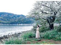 [Photobook] 2024.08.28 菜乃花LAST写真集 しずく