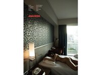 [Photobook] Nude Photo Collection 滝川穂乃果 ANACONDA
