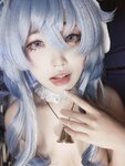 [Cosplay] 比奇堡黄塞方块 甘雨玉桂狗