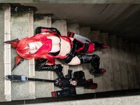 [Cosplay] 切切celia 小红帽