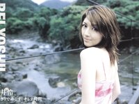 [Photobook] 山本千夏 三津谷葉子 吉井怜 磯山さやか 福下恵美 あなたは、どの彼女が好きですか？