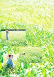 小野真夕8部写真