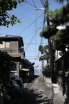 小野真夕8部写真
