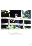 [PB]2016.11.14 U18 bloom 平手友梨奈・長濱ねる