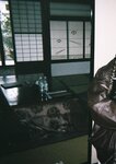 [Photobook] #もも日常 大河もも日常写真集 (wunder_publishing_house.)