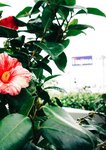 [Photobook] #もも日常 大河もも日常写真集 (wunder_publishing_house.)
