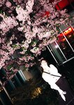 [Photobook] #もも日常 大河もも日常写真集 (wunder_publishing_house.)