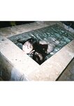 [Photobook] #もも日常 大河もも日常写真集 (wunder_publishing_house.)