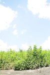 [Photobook] ロシアハーフ美女　アンナ　全裸バレリーナ 週刊ポストデジタル写真集