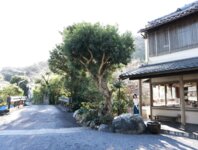 [Photobook] 永岡怜子　それから　オール未公開スペシャルＥｄｉｔｉｏｎ　ｖｏｌ．４　１２０カット超完全版　ＦＲＩＤＡＹデジタル写真集 (incomplete)
