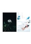 [Photobook] 「旬」大河ももグラビア写真集 (Wunder_Publishing_House.)