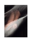 [Photobook] 「旬」大河ももグラビア写真集 (Wunder_Publishing_House.)