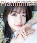 Platinum FLASH（プラチナフラッシュ) Vol.18