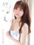 Platinum FLASH（プラチナフラッシュ) Vol.18