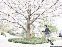 [LOVEPOP] Gravure No.95 - Moeka Sasaki 佐々木萌香 Photoset 15 [98P68.0 Mb]