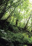 [Photobook] Gimme！ 神宮寺ナオ写真集