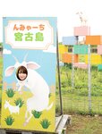 [Photobook] 小日向ゆかファースト写真集　はじメェ～まして。 (アサ芸アイドル写真集)