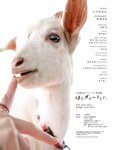 [Photobook] 小日向ゆかファースト写真集　はじメェ～まして。 (アサ芸アイドル写真集)