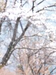 [Photobook] 新藤まなみ写真集『Ｑｕｅｅｎｓ』