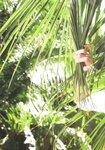 [Photobook] 熊井友理奈写真集 FLOWERAGE (2009.07.25)