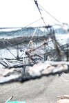 [Photobook] MAO マオ 浜崎真緒： 【グラビア写真集】