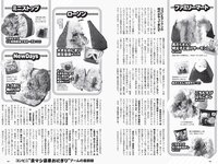 [Weekly Playboy] 2022 No.41 篠崎愛 大盛真歩 髙橋ひかる 足立梨花 亜咲花 青山なぎさ 高橋かの 他