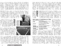[Weekly Playboy] 2022 No.42-43 星乃夢奈 青島心 井本彩花 志田音々 芳賀優里亜 奥仲麻琴 他
