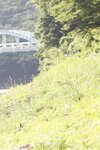 [Post Digital Photo] Kazuko Iwamoto 岩本和子 - Bad travel いけない旅情 (2018-08-06)