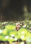 [Photobook] 日向坂46 東村芽依1st写真集 見つけた