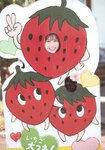 [Photobook] 日向坂46 東村芽依1st写真集 見つけた