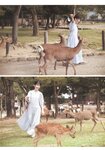 [Photobook] 日向坂46 東村芽依1st写真集 見つけた